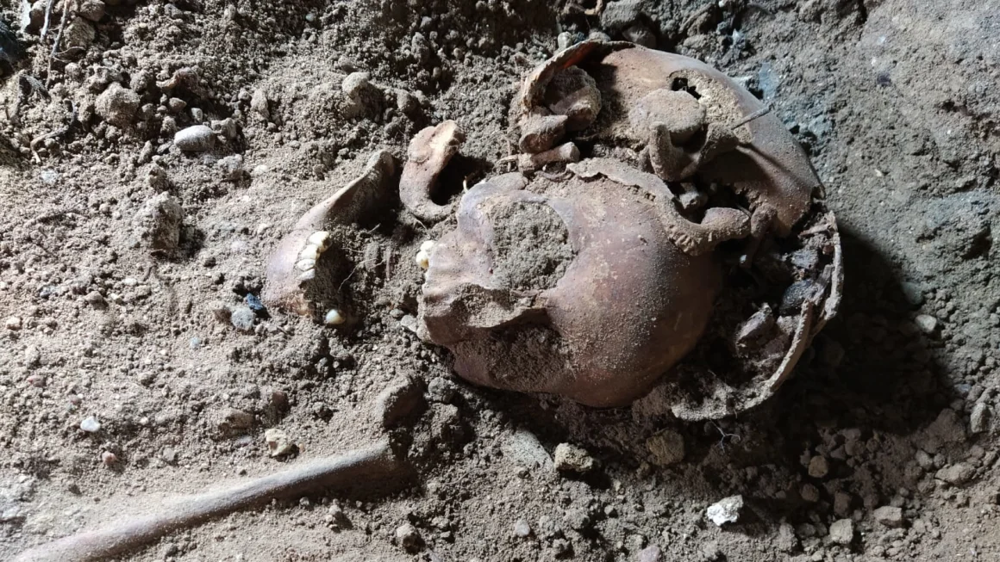 Под домом Геринга в Волчьем логове нашли пять скелетов