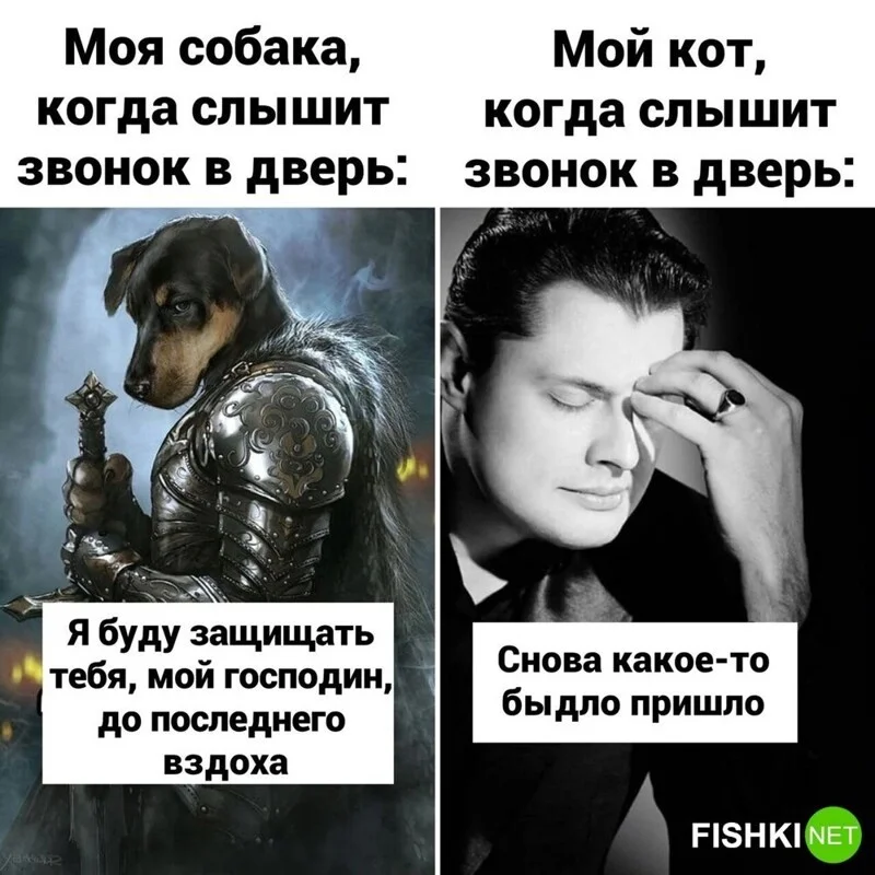 Посмеялся сам - поделись с другом!!!
