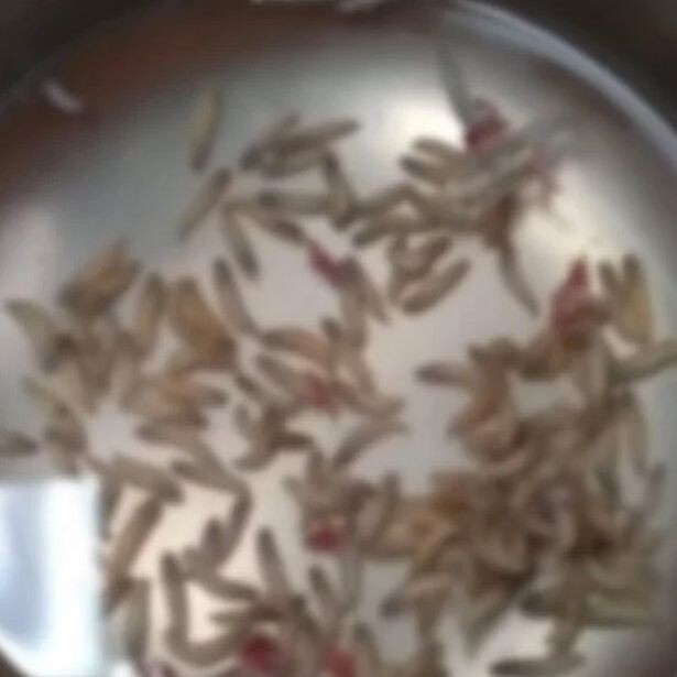 Жительница Таиланда обнаружила в носу сотни личинок