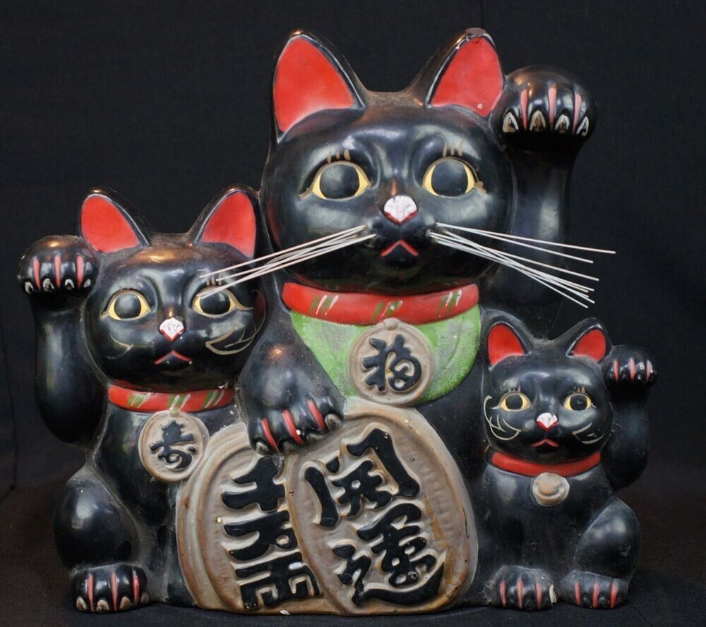 Чёрная кошка: суеверия и приметы