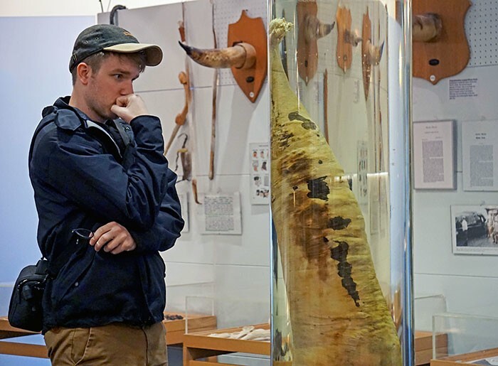 18. "Моя жена сделала снимок, на котором я смотрю на китовый член в исландском фаллологическом музее"