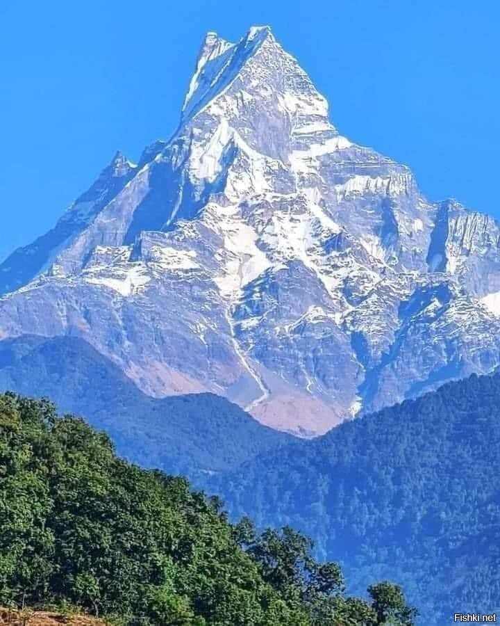 Мачапучаре — гора высотой 6998 м, входящая в состав горного массива Аннапурна...