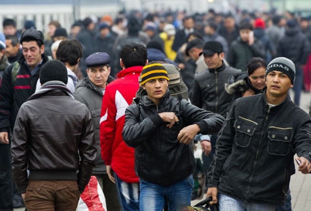 В Калининграде задержали общественников за нелегальную регистрацию почти 1000 мигрантов