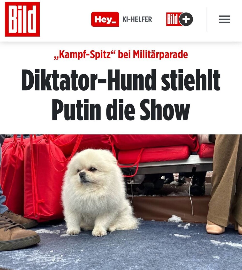 Собака "диктатора" Лукашенко на параде в Москве испортила настроение немецким пропагандистам