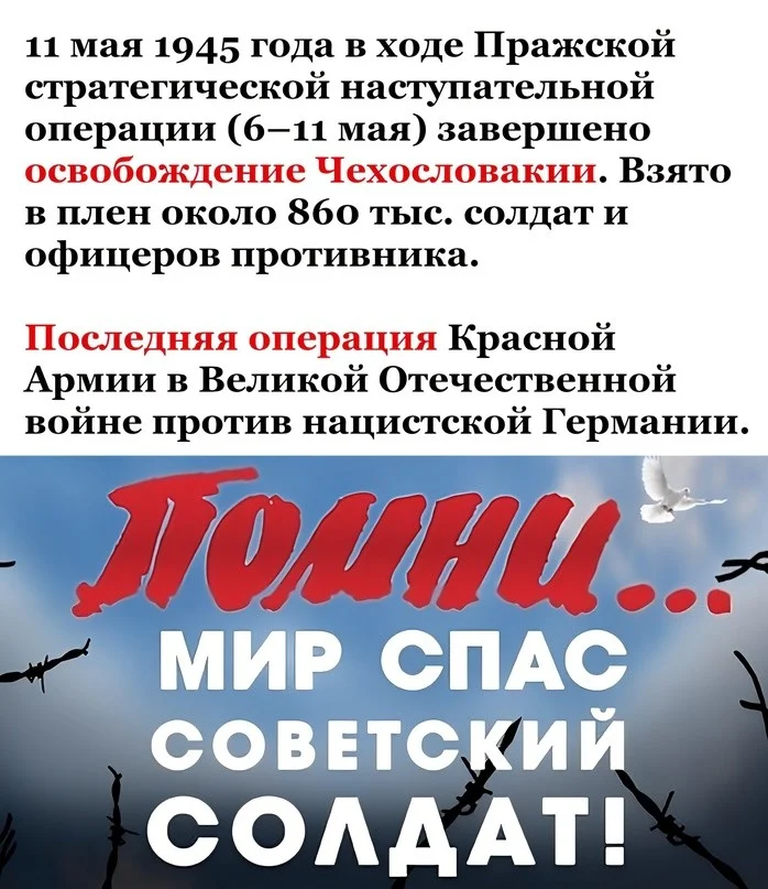 3a1f82f88f41f3e742eb64a10d7a16c1.jpg.web