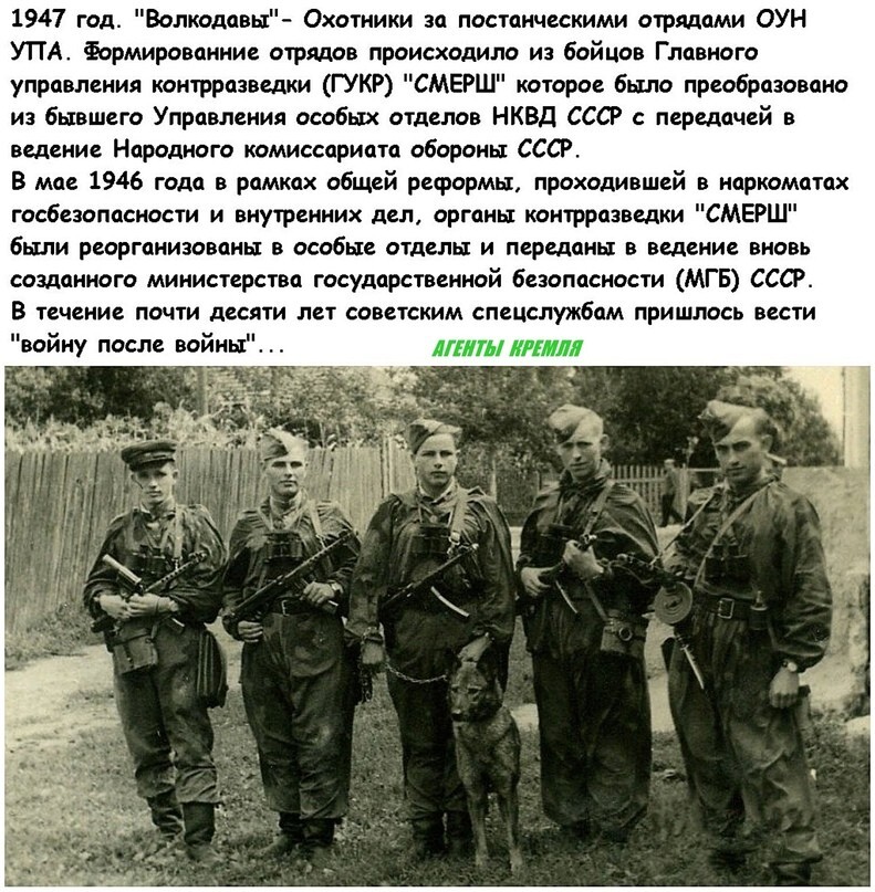 Советские ВОЛКОДАВЫ - истребители бандеровской заразы! 