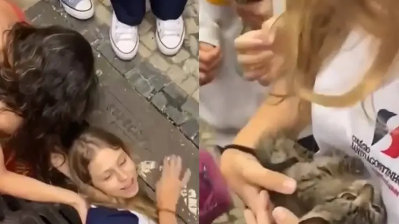 Храбрая девочка спасла котёнка