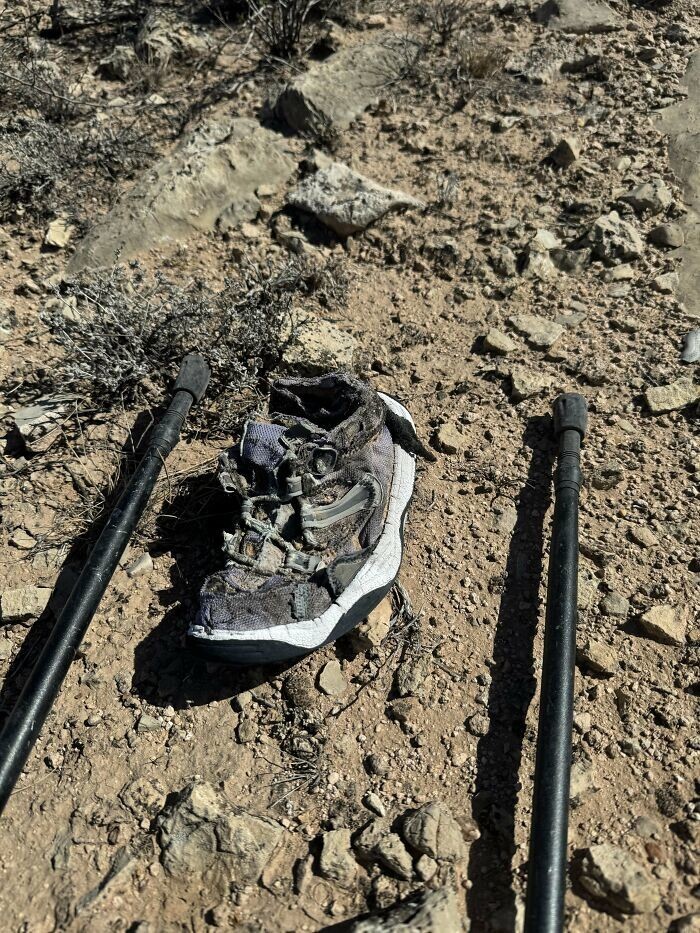 13. «Найдена одна женская изжёванная кроссовка посреди пустыни»