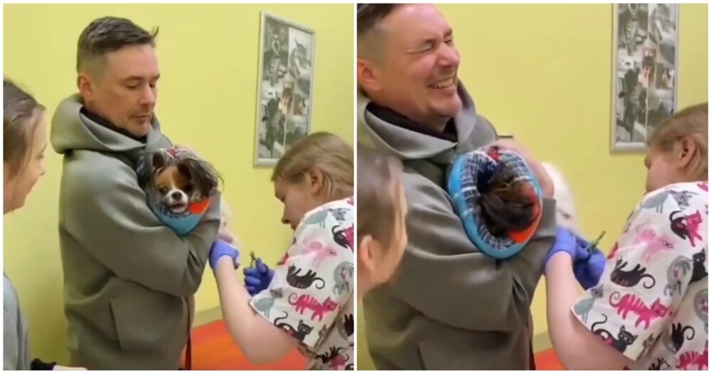 Недовольный пёс укусил ветеринара