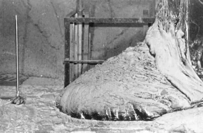 «Слоновья нога» на Чернобыльской АЭС по-прежнему смертельно опасна