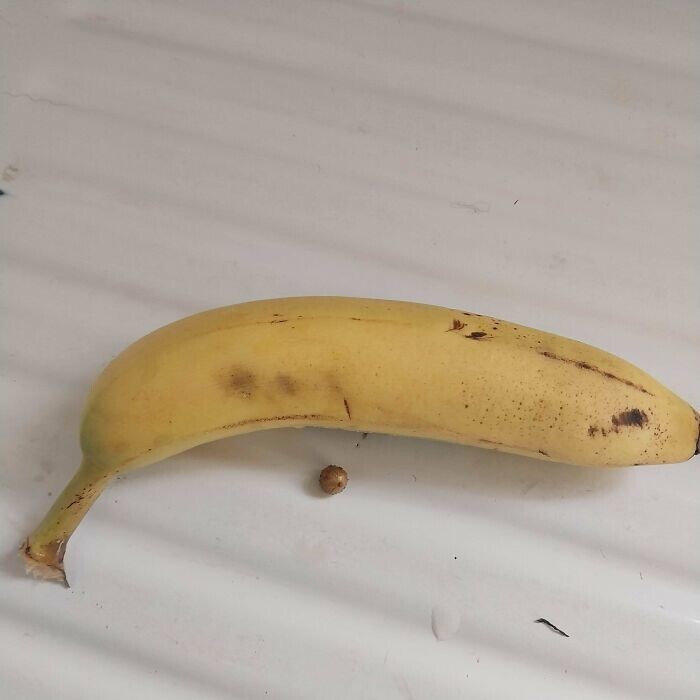 1. «Мой первый картофель (банан для масштаба)»