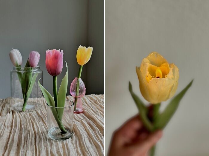 23. Нежные свечи-тюльпаны из пчелиного воска