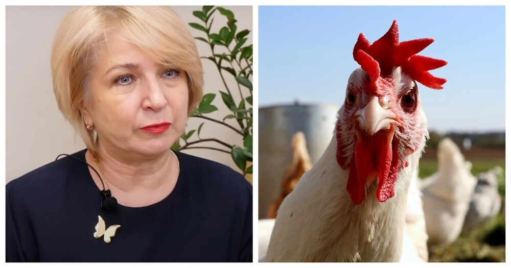 «Её назад надо было, эту курицу»: в Карелии депутат заксобрания прилюдно оскорбила активистку за то, что та заняла место чиновника в зале