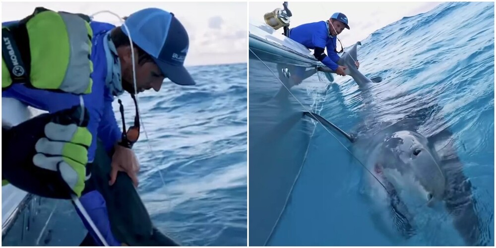 Мужчина поймал на крючок огромную акулу во время рыбалки
