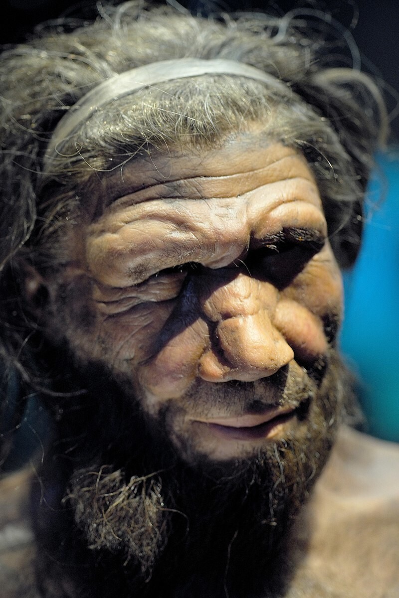 В останках неандертальцев найдены древнейшие человеческие вирусы