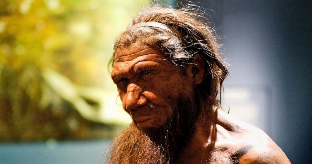 В останках неандертальцев найдены древнейшие человеческие вирусы