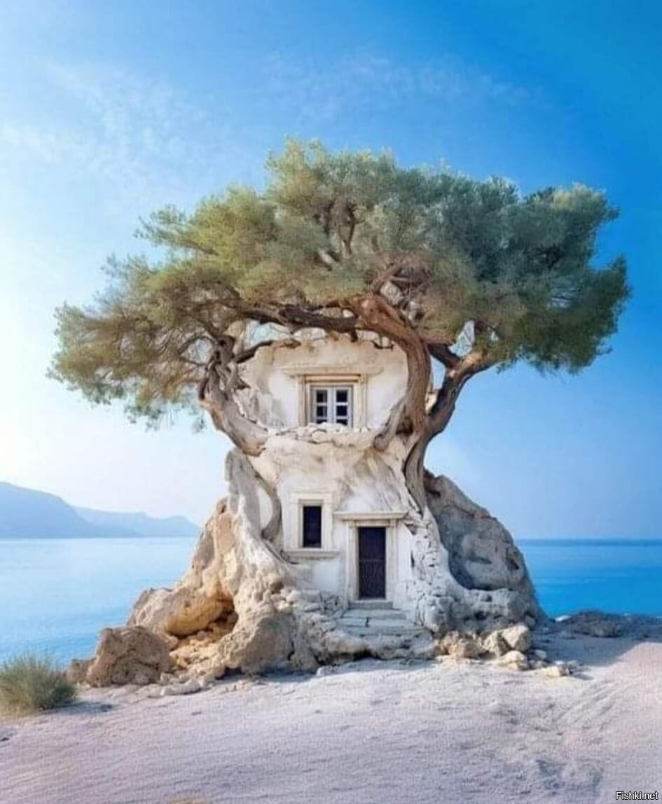 Вилла на пляже Крита, построена вокруг древнего дерева