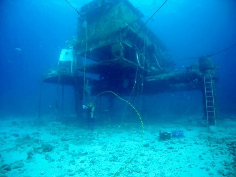 8. У берегов Флориды есть подводная исследовательская лаборатория "Aquarius". Она расположена на глубине девятнадцать метров, рядом с глубоким коралловым рифом