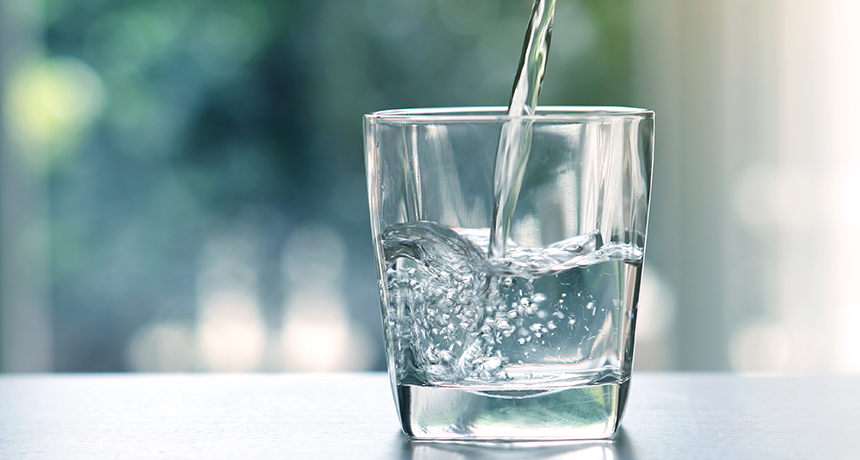 Учёные выяснили, что пивные дрожжи могут очистить воду от свинца