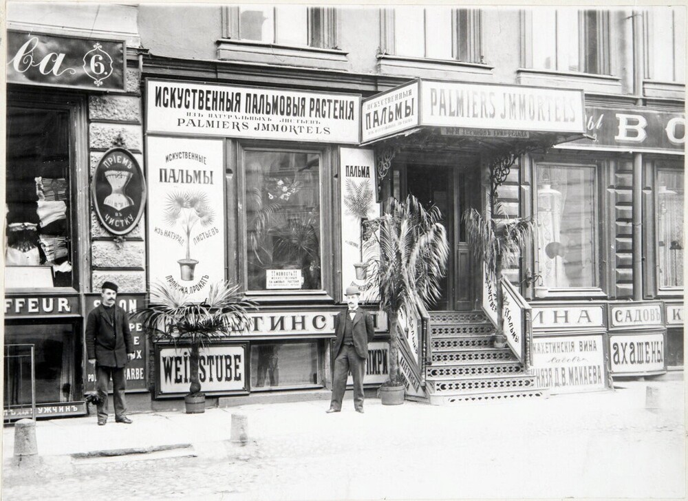 В Петербурге начала XX века было модно держать дома пальму. Хотя бы искусственную.