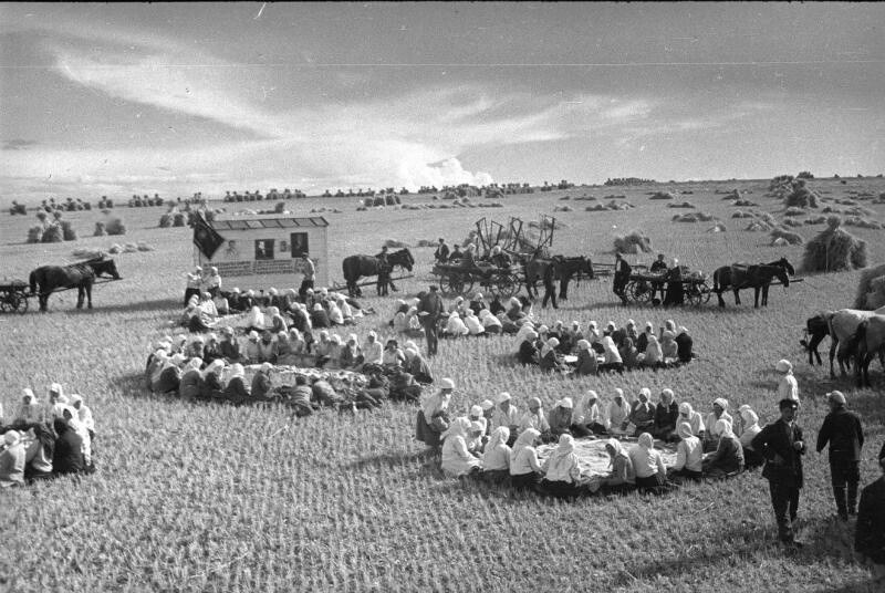 На полевом стане. Обед в поле. 1934 год.