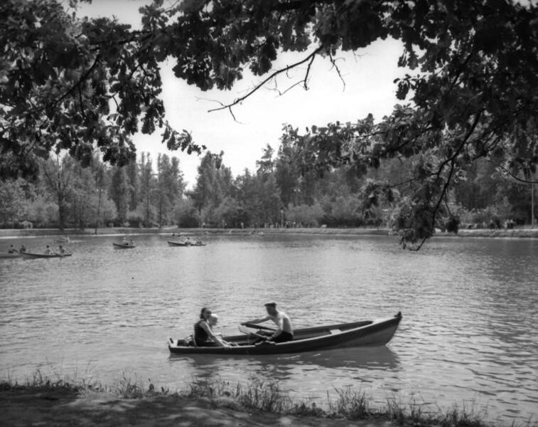 На пруду в Сокольниках. 1950-е.