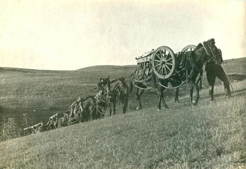 Лошади, навьюченные боеприпасами. 1930-е.