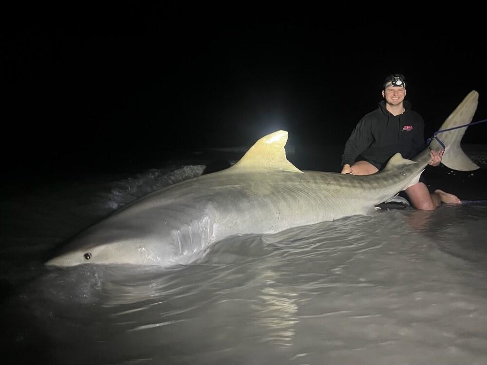 Рыбак неожиданно поймал почти четырехметровую акулу