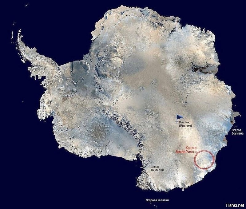 Самый крупный ударный кратер от падения метеорита находится в Антарктиде и им...