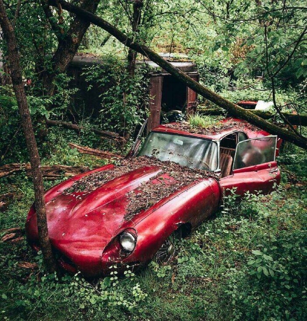 1. «Заброшенный Jaguar E-Type, спрятанный в лесу»