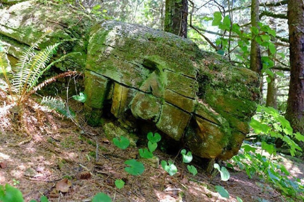 11. «Наткнулся на упавший тотем в лесу в Британской Колумбии, Канада»