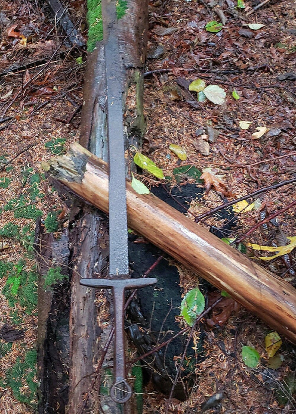 13. «Нашел меч во время прогулки по лесу. Британская Колумбия, южное побережье»