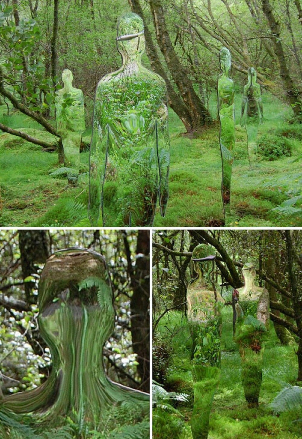 6. «Зеркальные скульптуры шотландского художника Роба Малхолланда отражают лес»