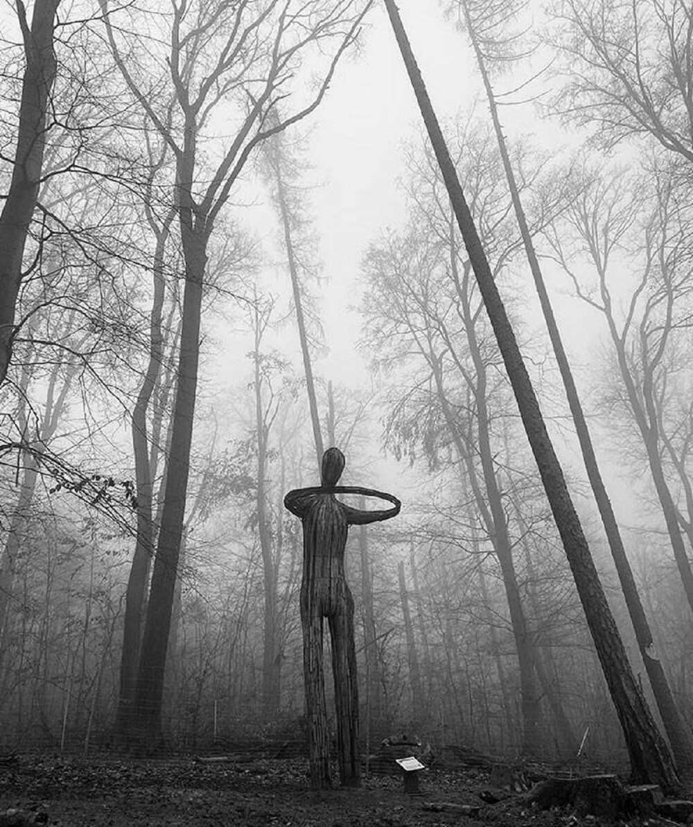 19. «Художественная инсталляция в нашем лесу. Во время тумана производит огромное впечатление»