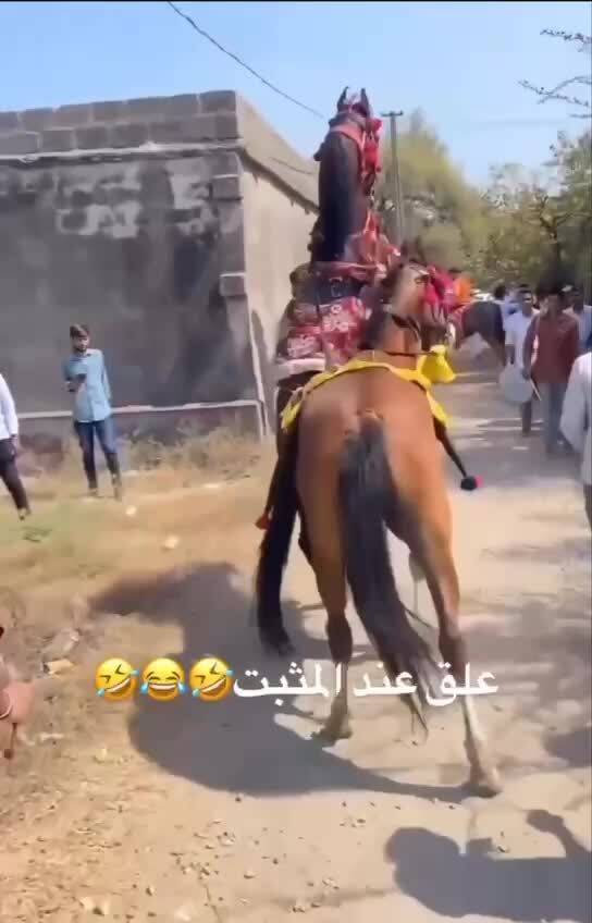 Конь побежал 