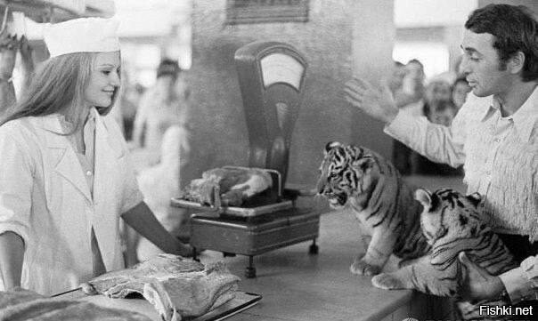 Дрессировщик Степан Денисов с тигрятами выбирает для них мясо на рынке