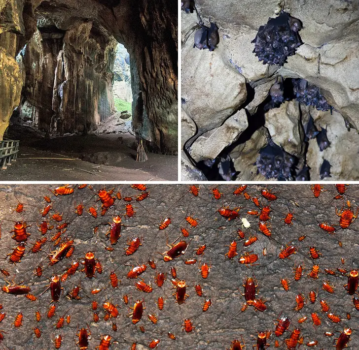 4. Пещера Гомантонг