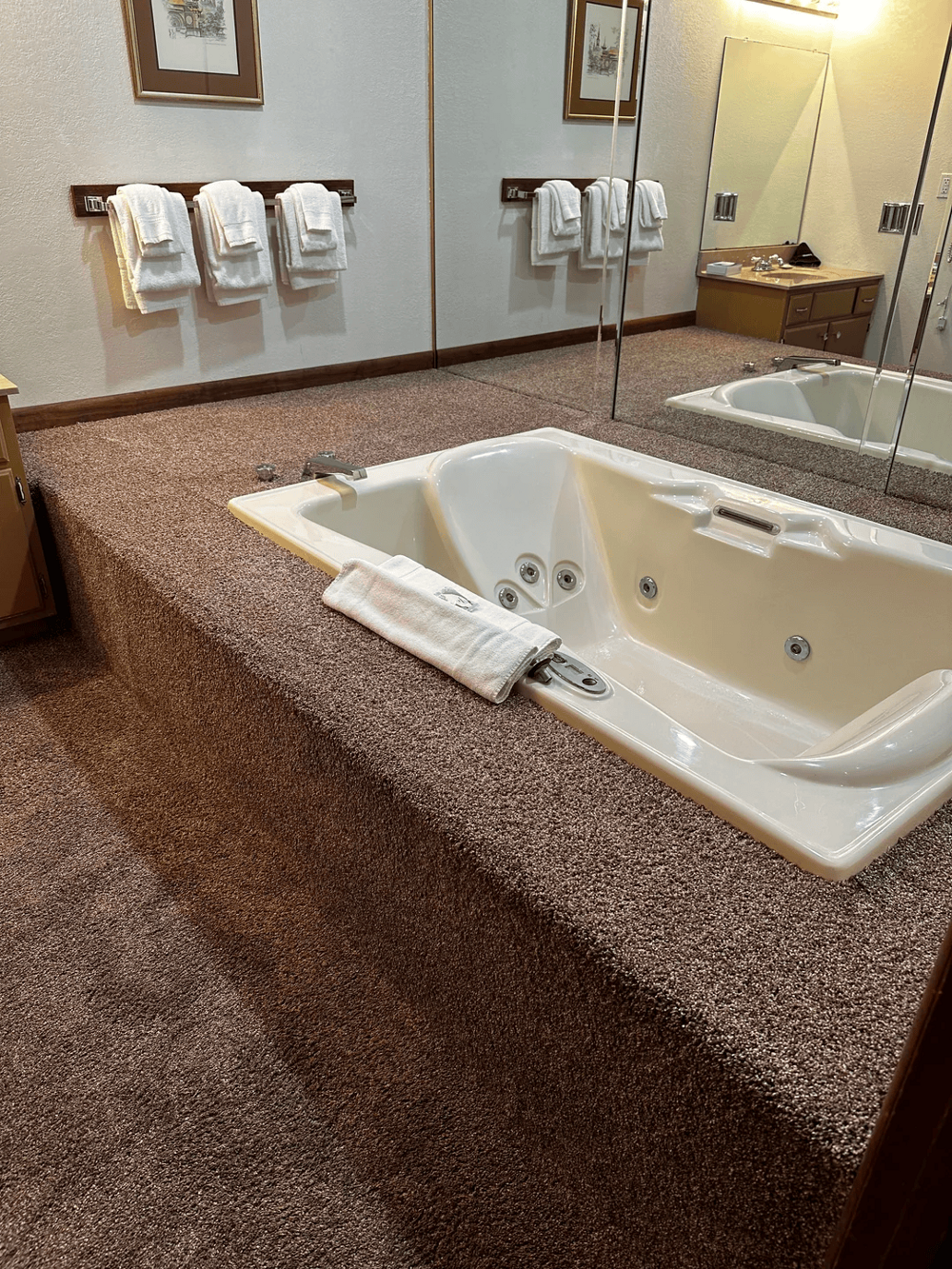 Ванная комната с ковровым покрытием