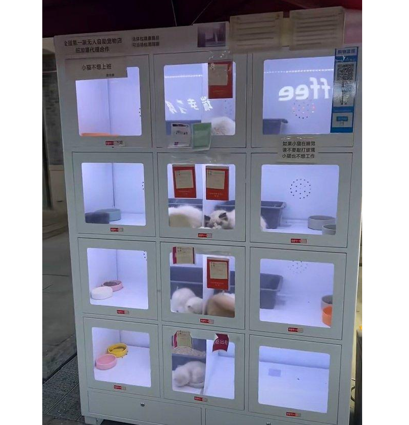 В Китае поставили торговые автоматы с котами