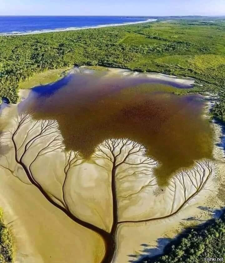 Озеро Какура в Австралии