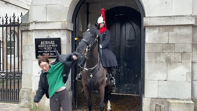 Лошадь Королевской гвардии укусила туристку, которая решила с ней сфотографироваться