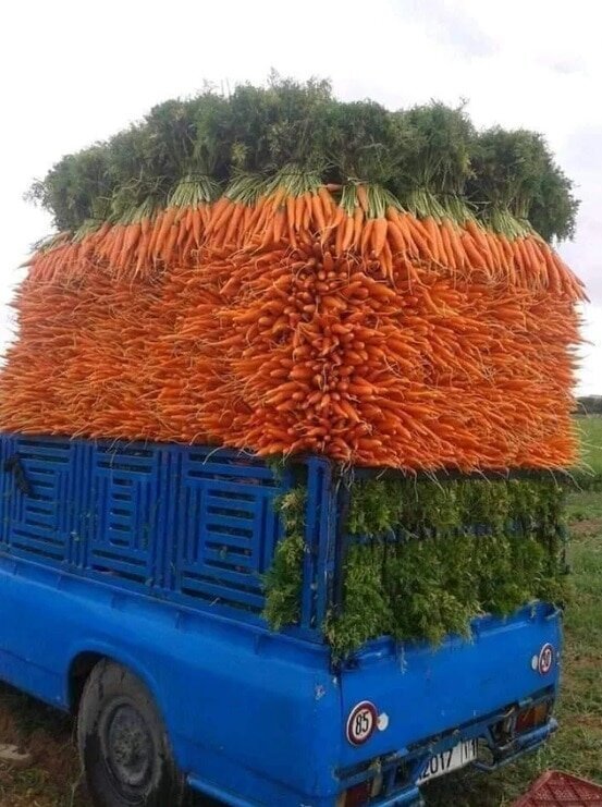 Так уложить морковь мог только мастер своего дела