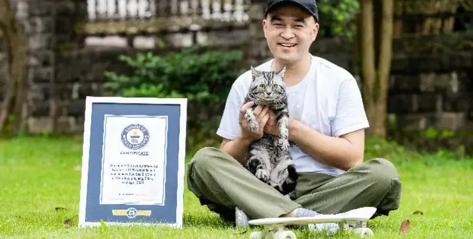 Китайский кот установил мировой рекорд по скорости езды на скейтборде