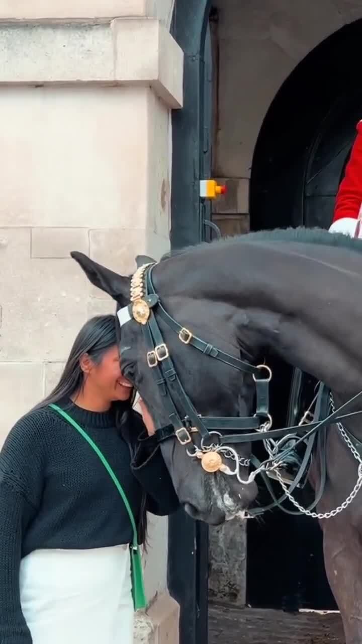 Лошадке из Королевского конно-гвардейского полка тоже хочется ласки и любви 