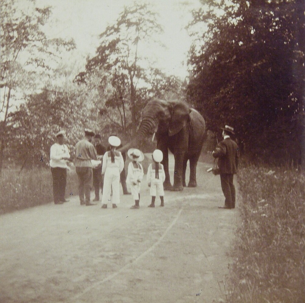 Также у детей Николая Второго был собственный...слон, который тоже жил в Царском Селе.