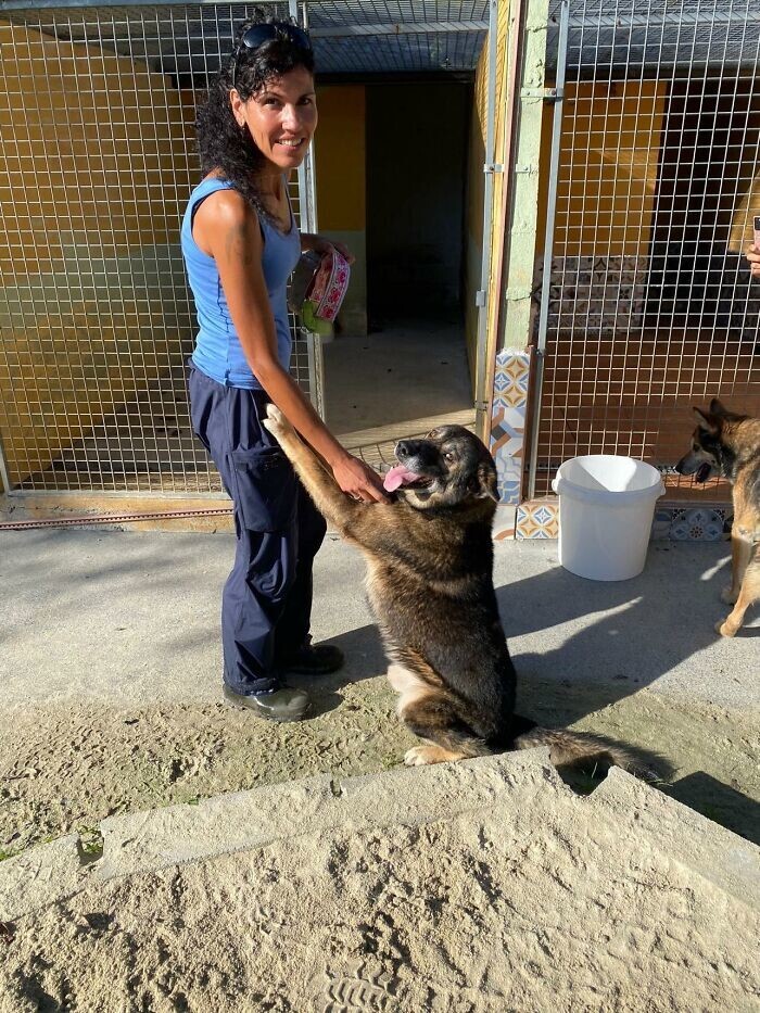 Благодаря заботе ветеринаров и Сони, руководителя организации Animals Help, приюта в Галисии, Испания, Бадди получил медицинскую помощь и любовь, в которых так нуждался