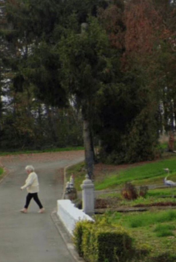 Тело пролежало под соседским садом 2 года: благодаря Google Maps раскрыли дело исчезновения женщины
