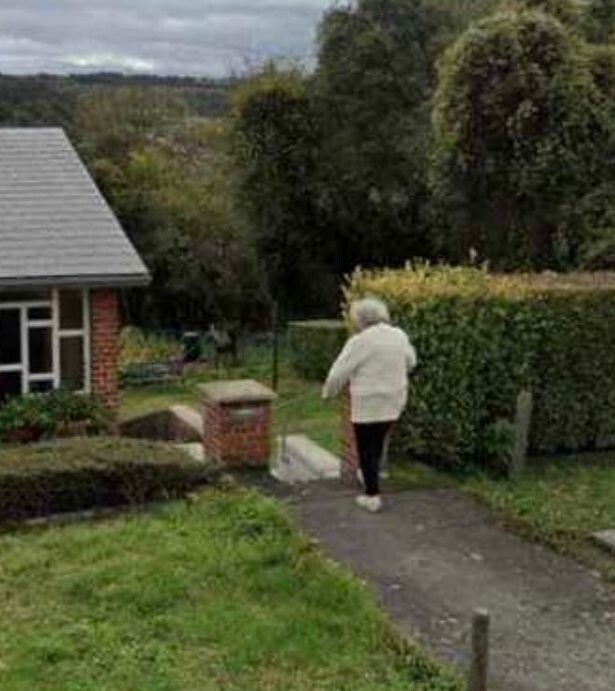 Тело пролежало под соседским садом 2 года: благодаря Google Maps раскрыли дело исчезновения женщины