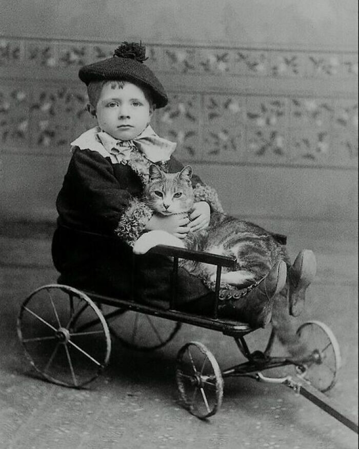 16. Портрет мальчика с кошкой, 1890-е годы