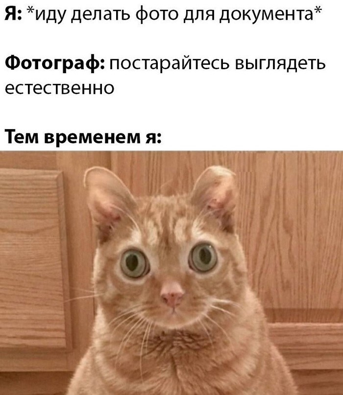 Улыбайтесь, господа... Улыбайтесь